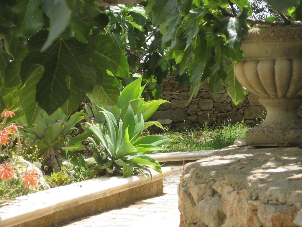 Bed and Breakfast Casa Veneri Salve Exterior foto